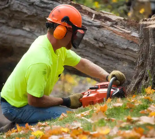 tree services Tyler